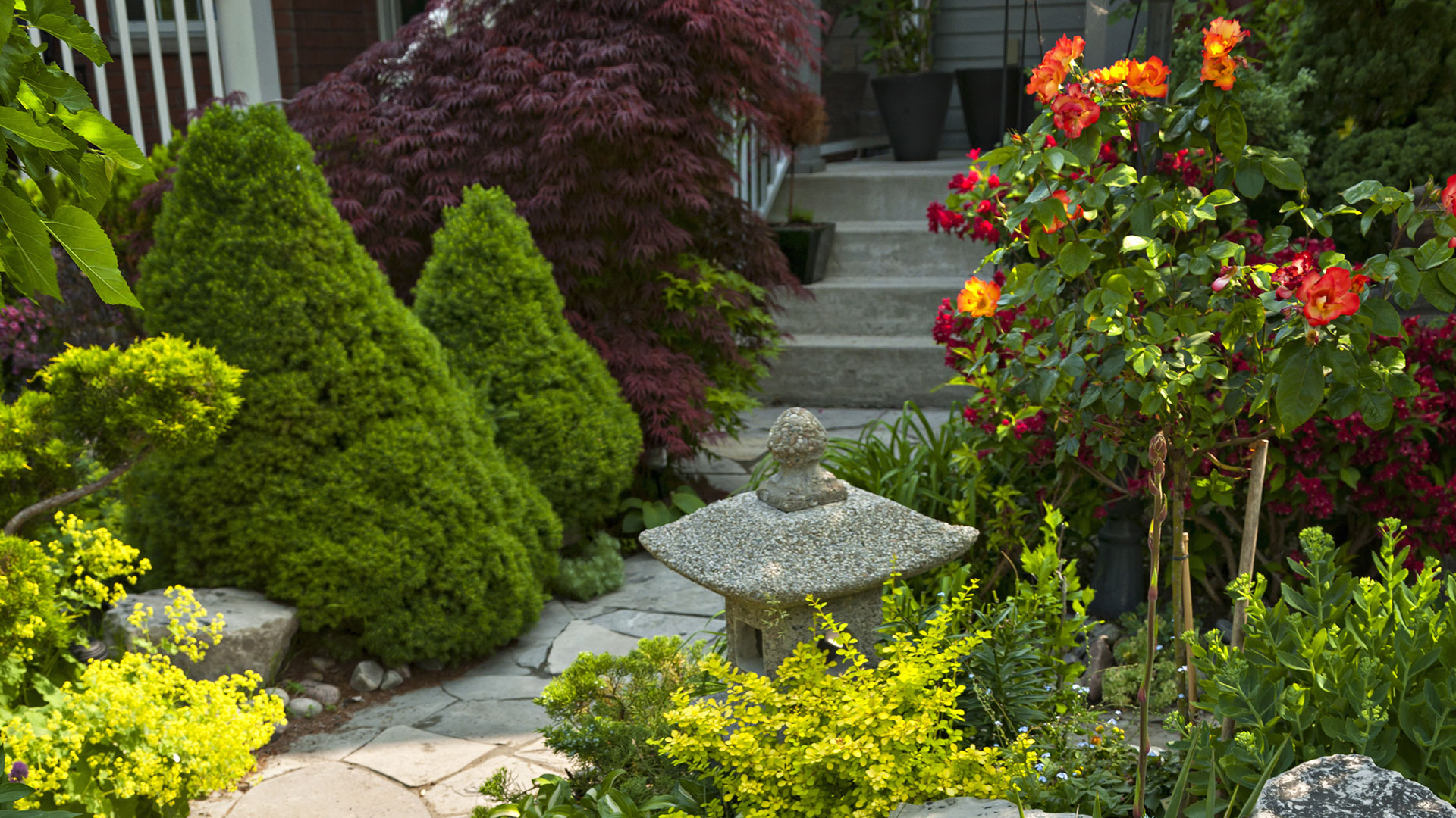 Mount Kisco Fertilization